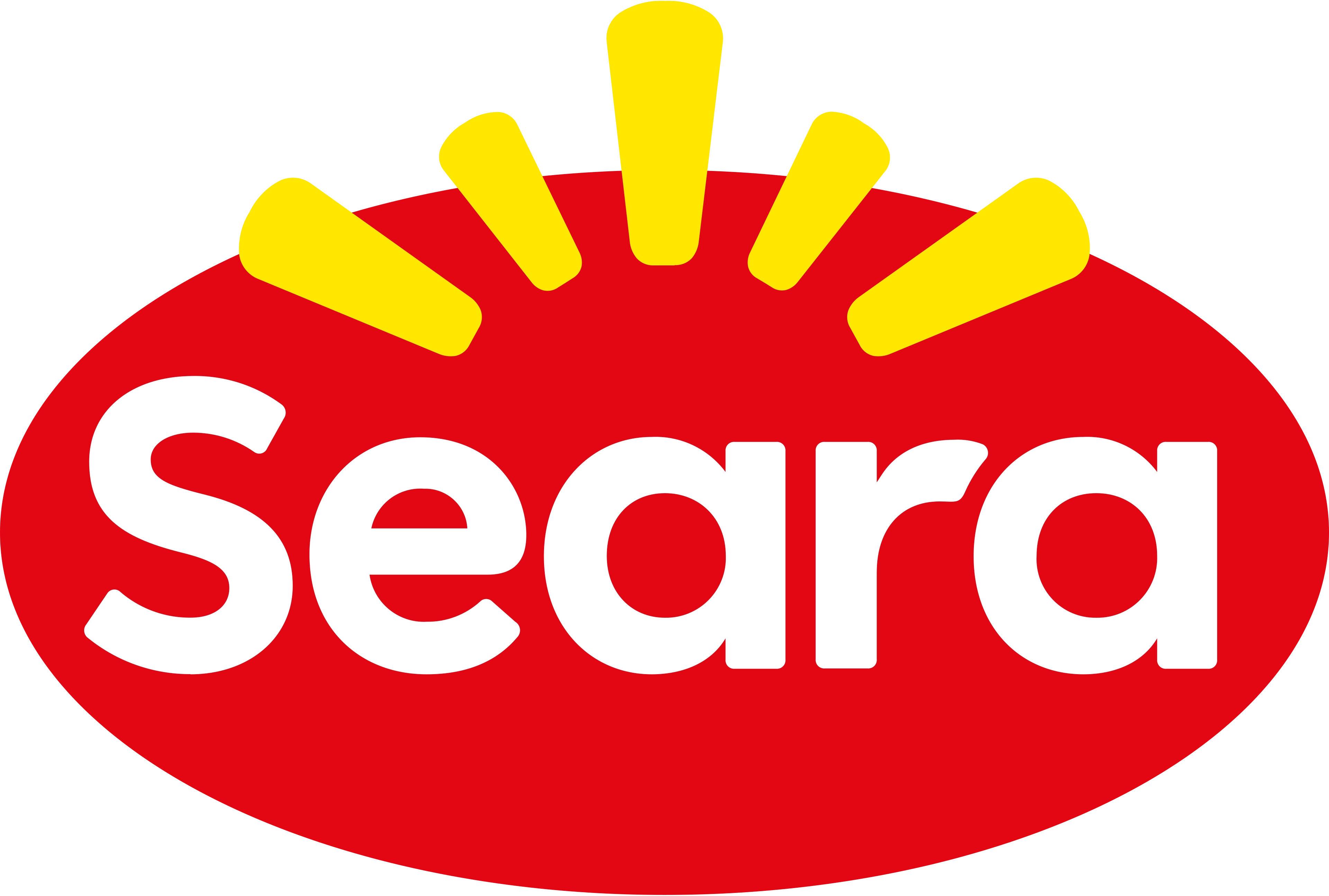 Seara Alimentos